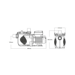 Poolpumpe EMAUX SPV150 mit Variabler Geschwindigkeit 1.5 PS 230V mit WLAN