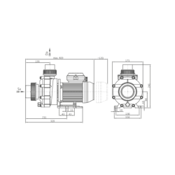 Whirlpoolpumpe Speck Badu 46 Spa-Umwälzpumpe 230 Volt